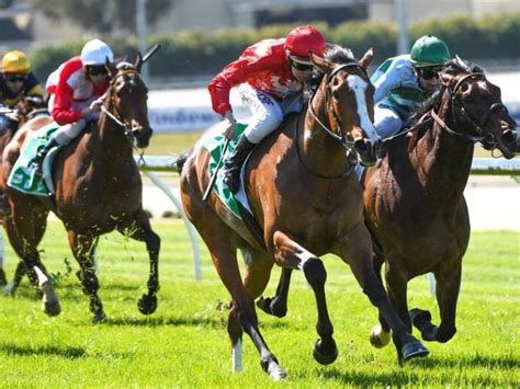 online horse betting australia|HorseBetting.com.au .